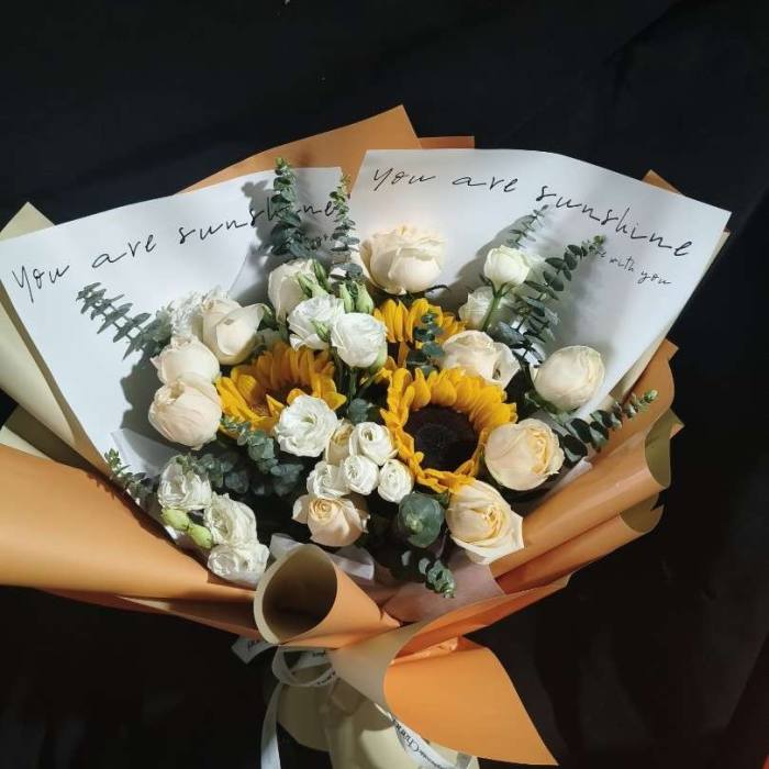 ��ݸ��������