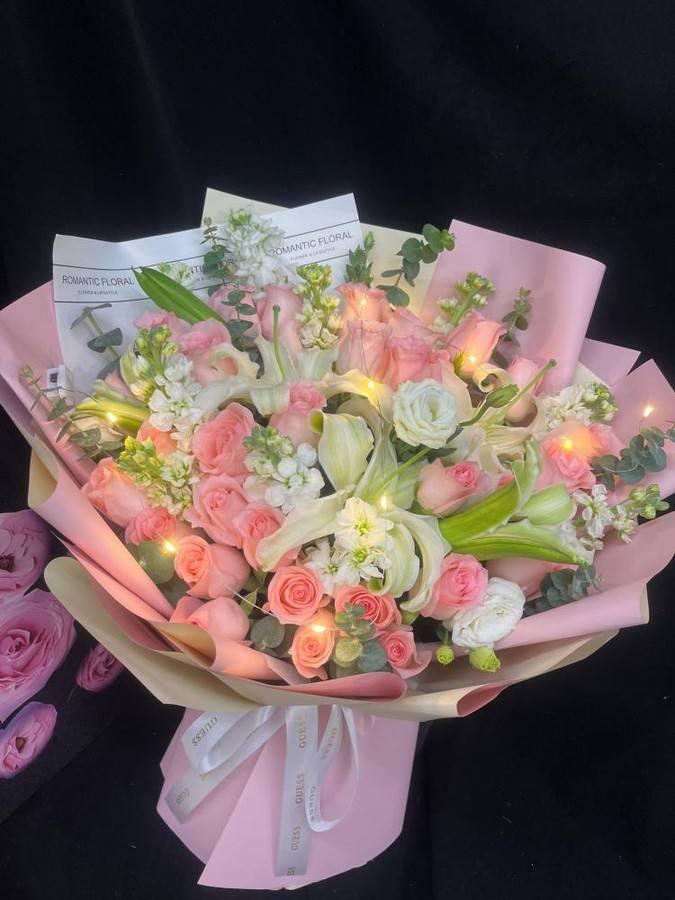 ��ݸ��������