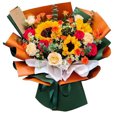 ��ݸ��������