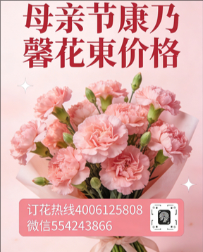 东莞万江区花店母亲节康乃馨花束